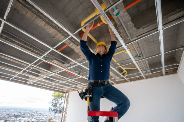 Best Commercial Plumbing Services  in Waawa, HI