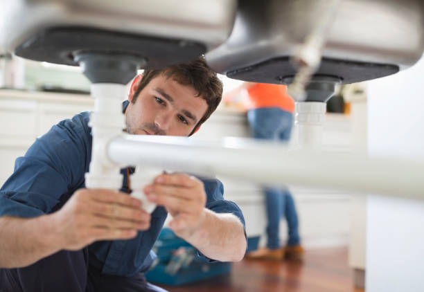Best Local Plumber Services  in Waawa, HI
