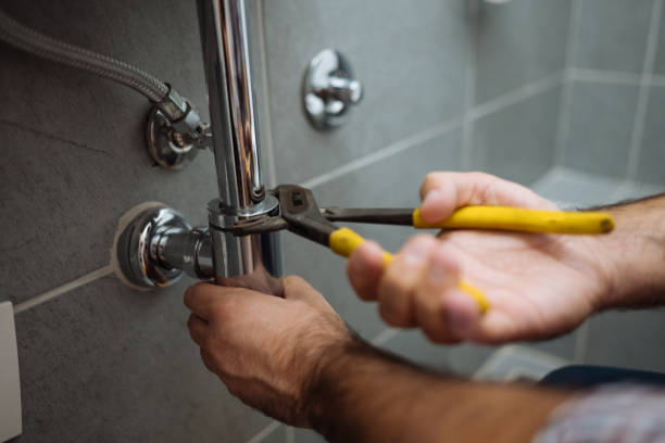 Best Plumbing Inspection Services  in Waawa, HI